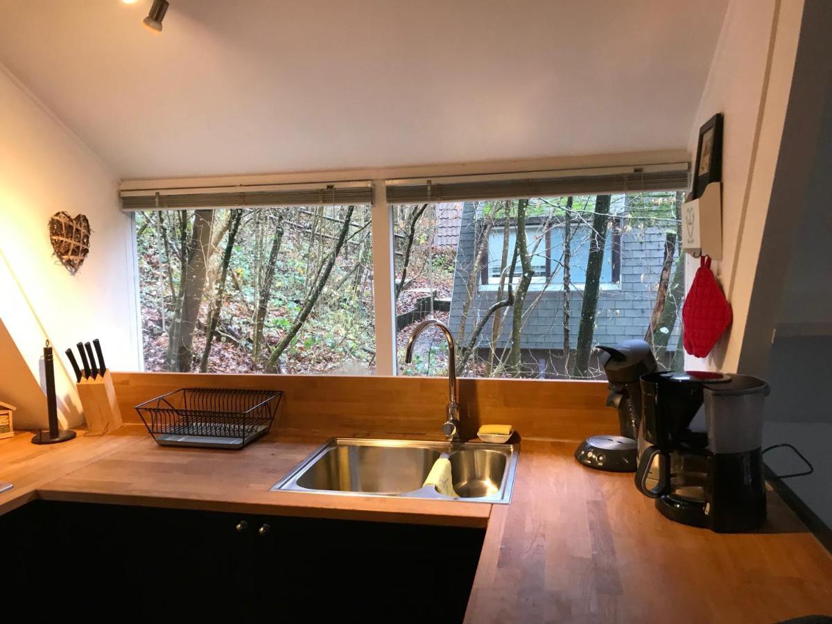 Villa Heavenly Renovated Cabin Near Pittoresque Durbuy - Whistler Extérieur photo